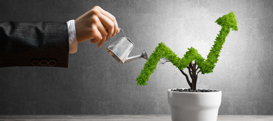A person is watering a plant that is shaped like a graph, which could represent a trendy promotional gift in the current promotional product trends.
